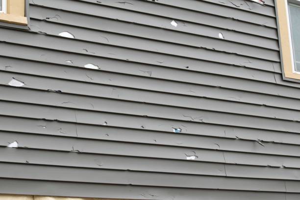 Best Dumpster Rental Services  in Val Verde, CA